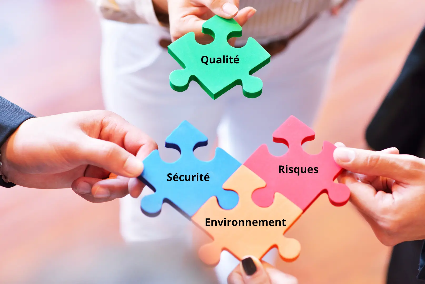 Systeme de management integre